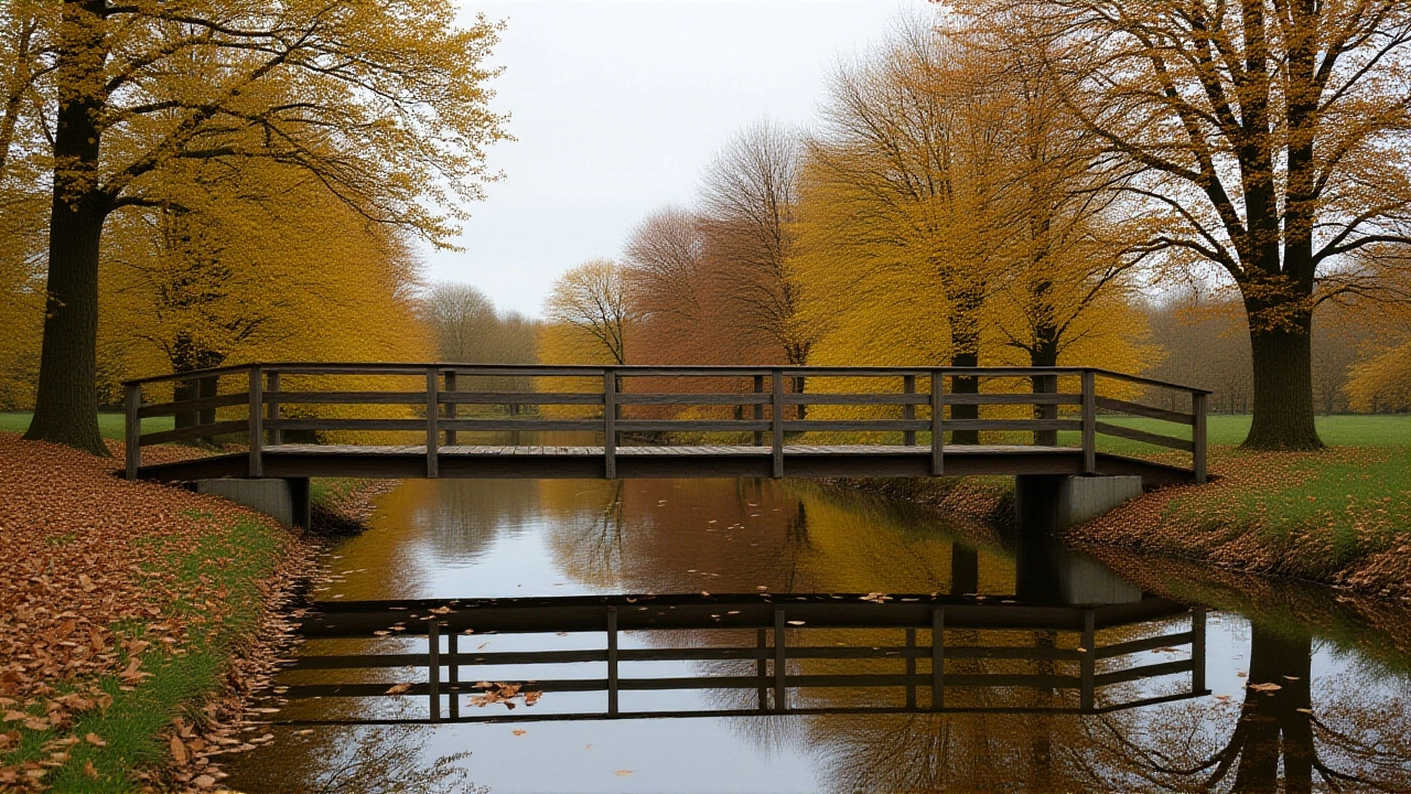 De wereld van MS: van Meppel naar Barcelona